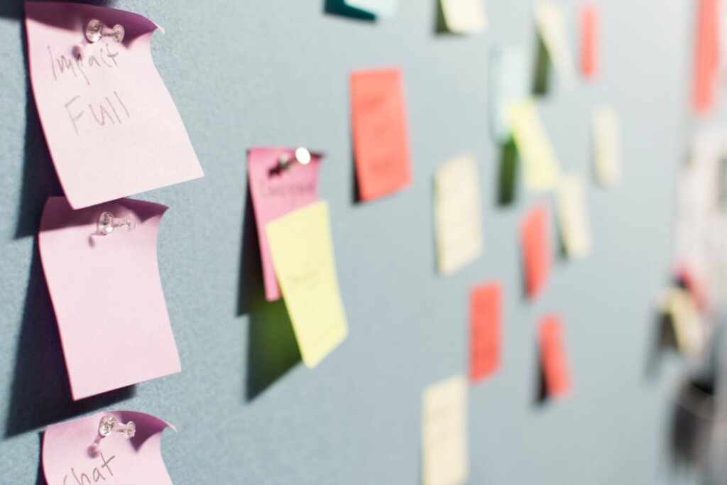 Marketing and Business Development